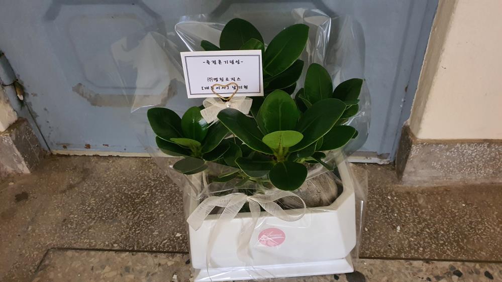 배송사진