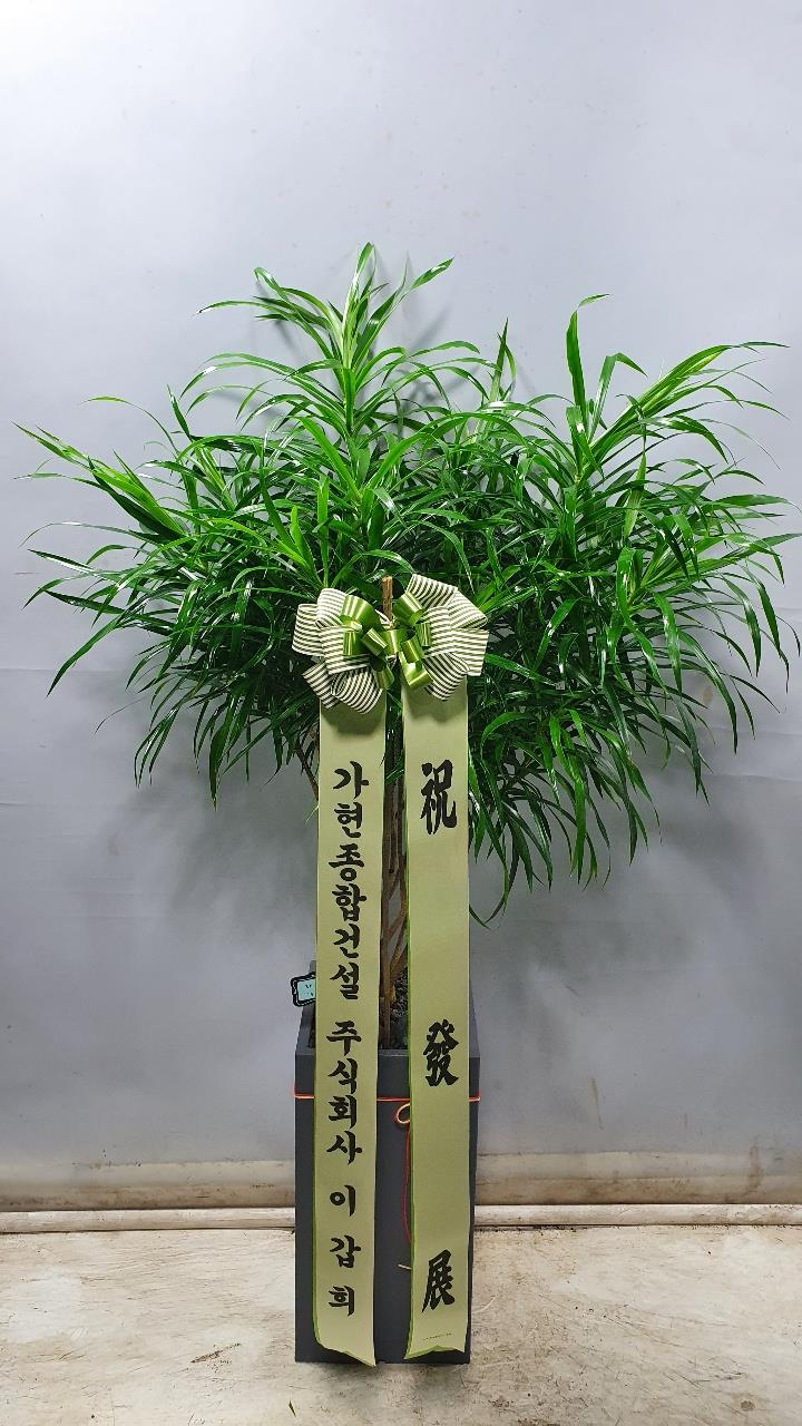 배송사진2