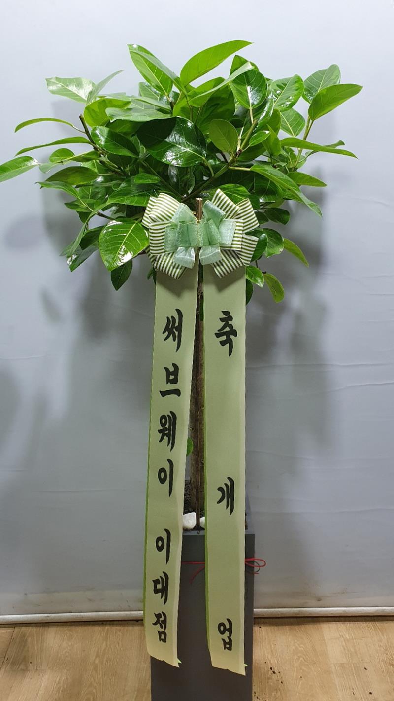 배송사진2