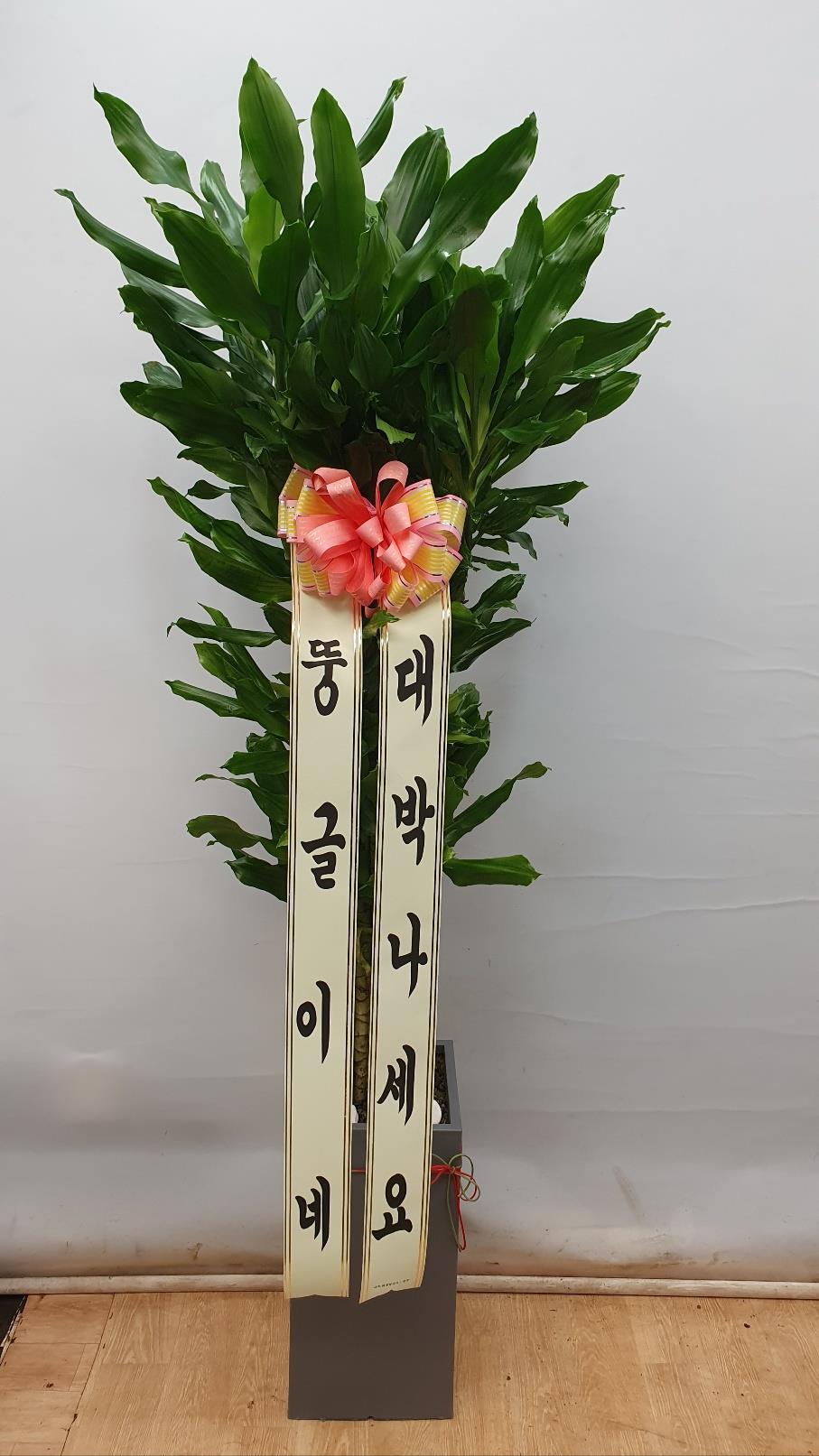 배송사진2