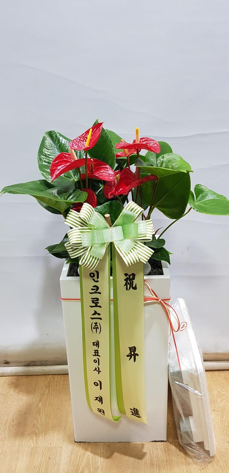 배송사진