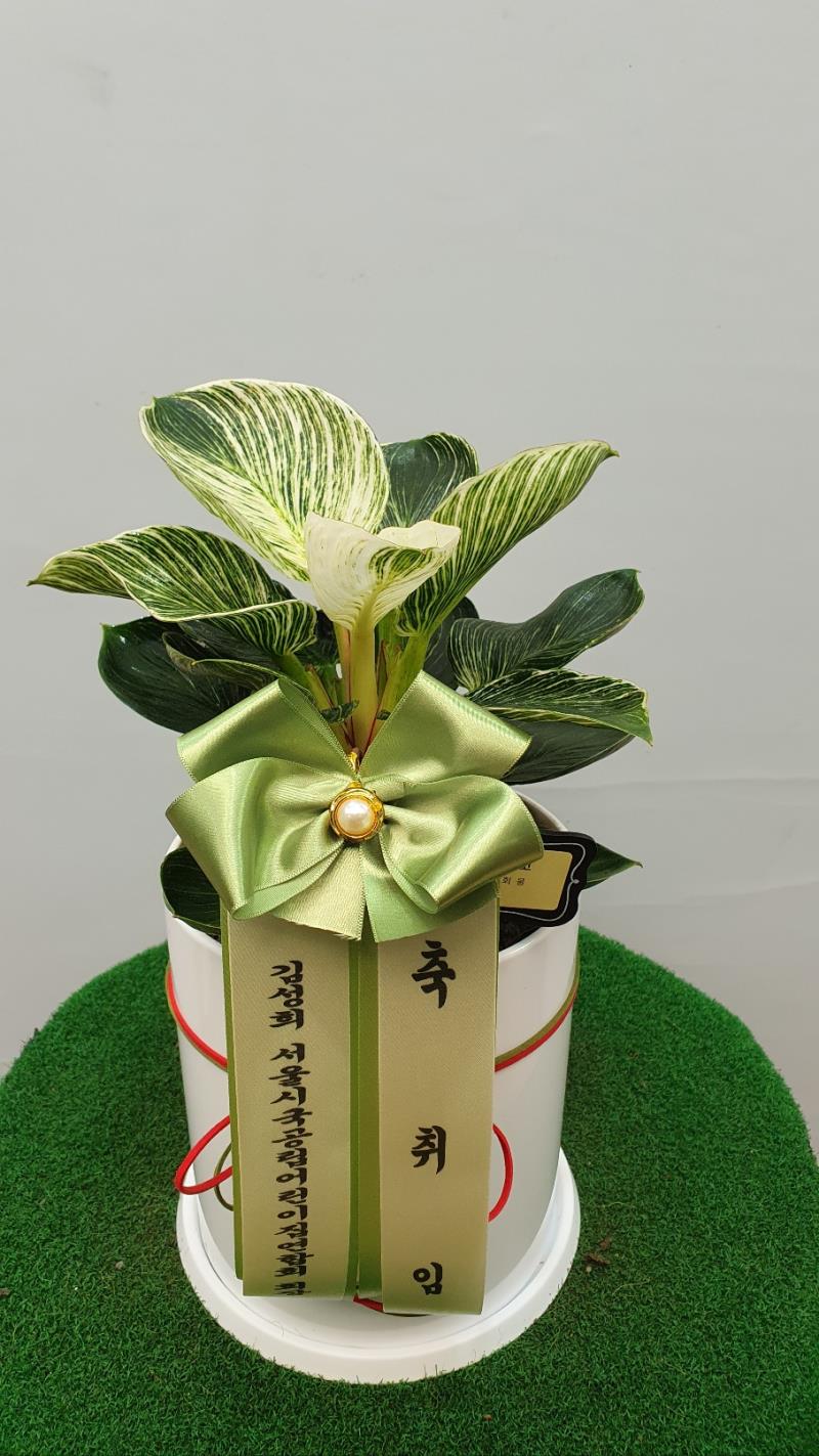 배송사진2