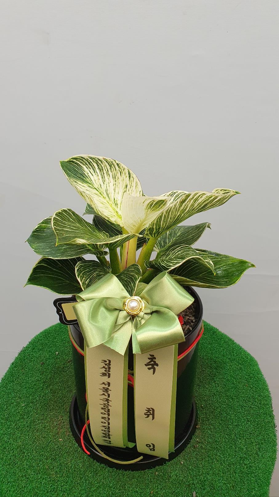 배송사진2