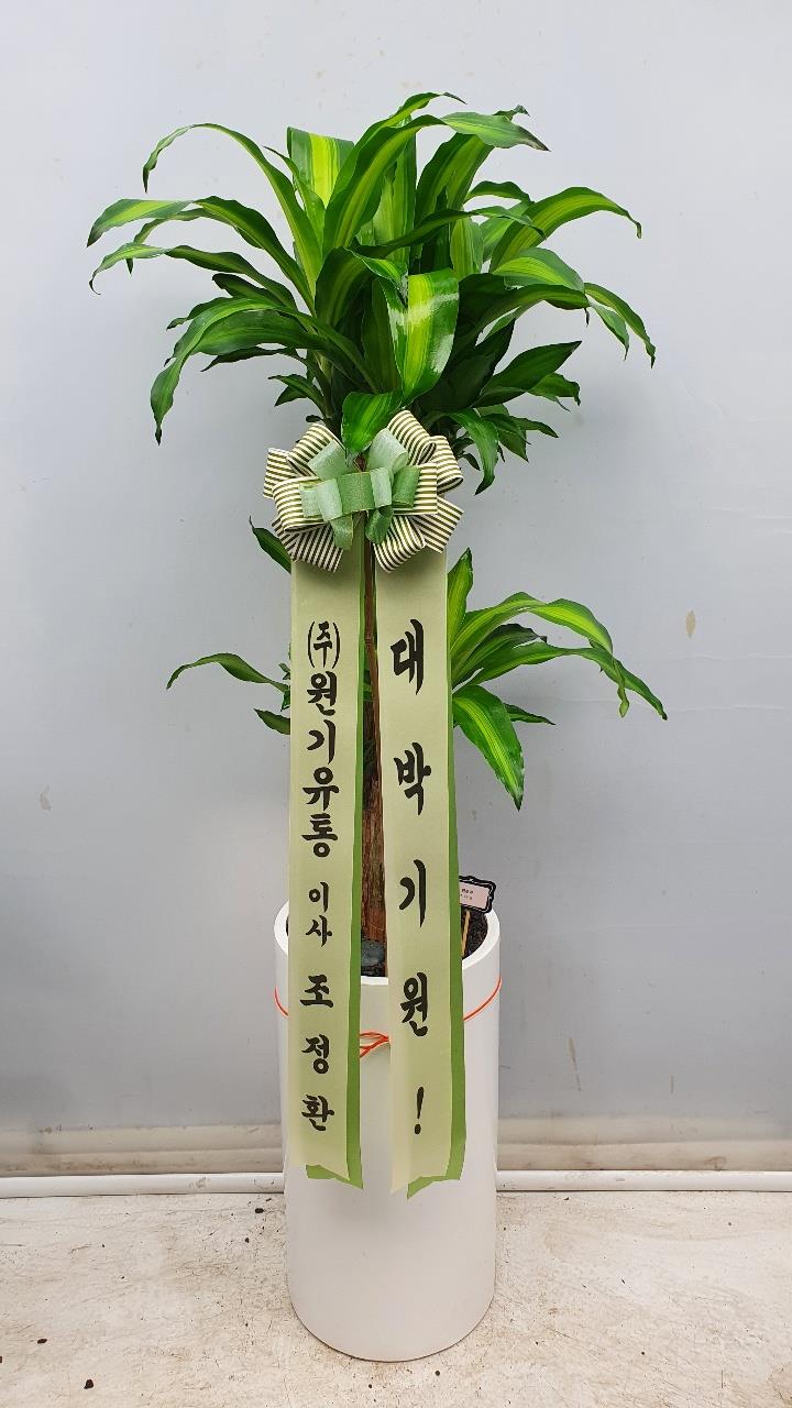배송사진2