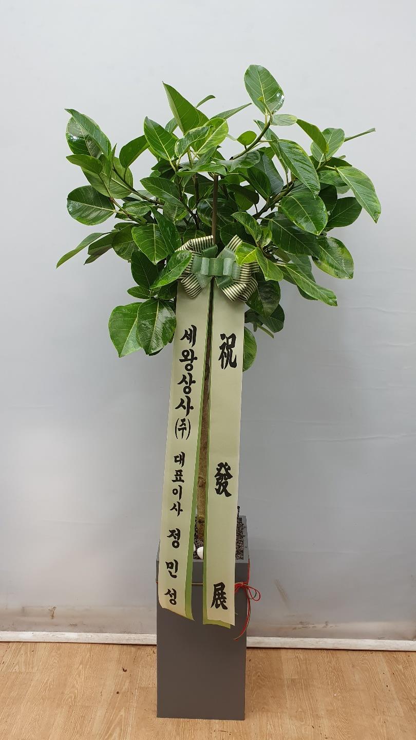 배송사진2