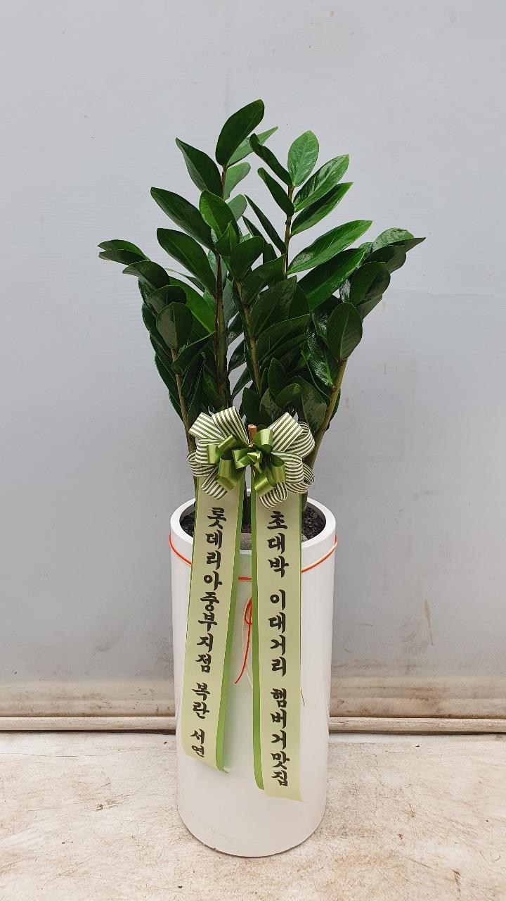 배송사진2