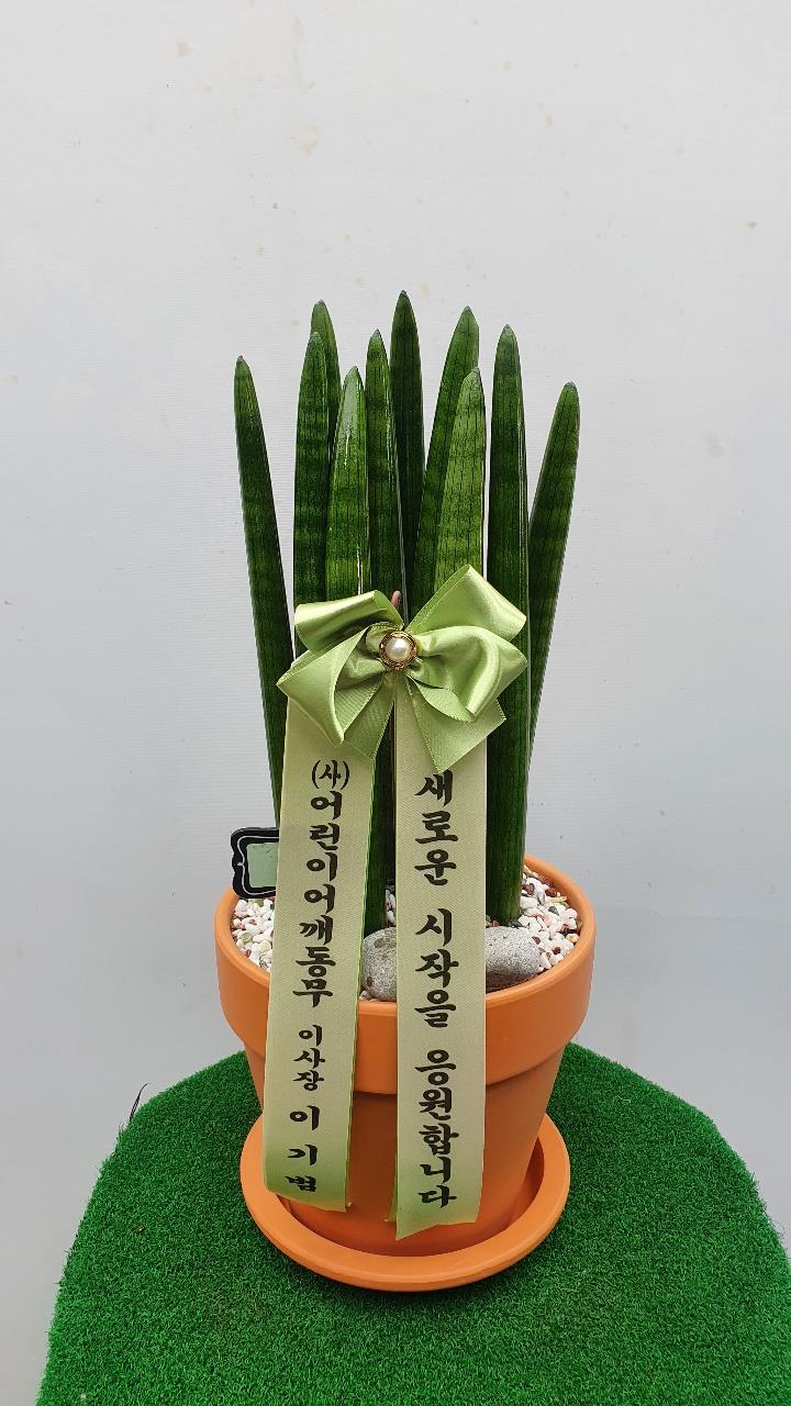 배송사진2