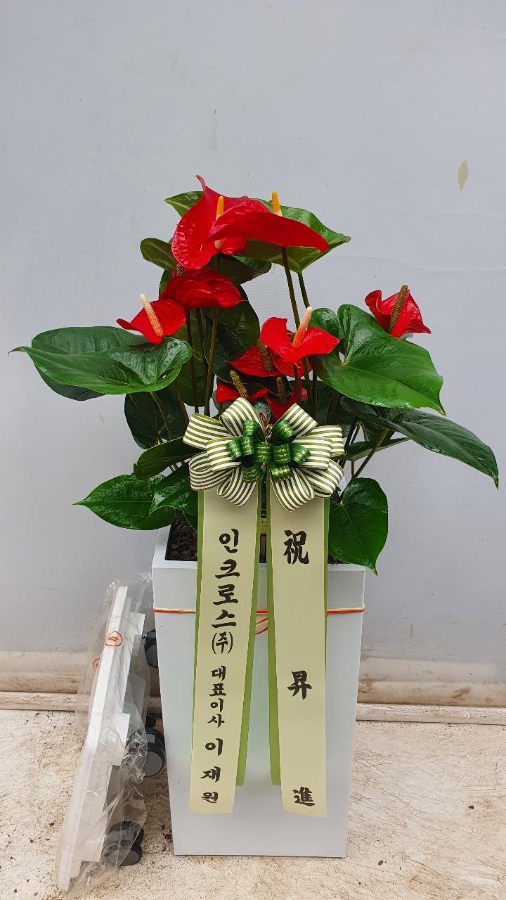 배송사진