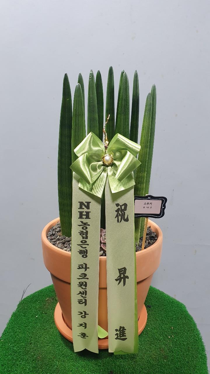 배송사진2