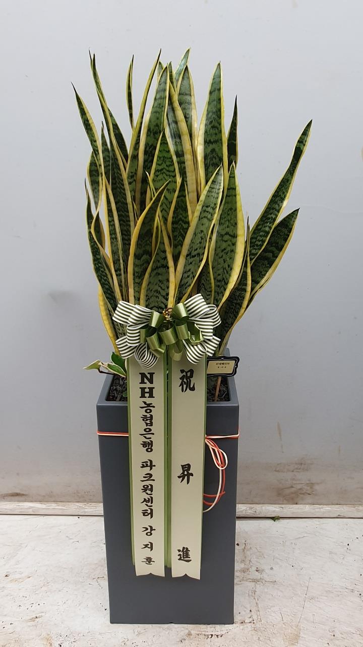 배송사진2
