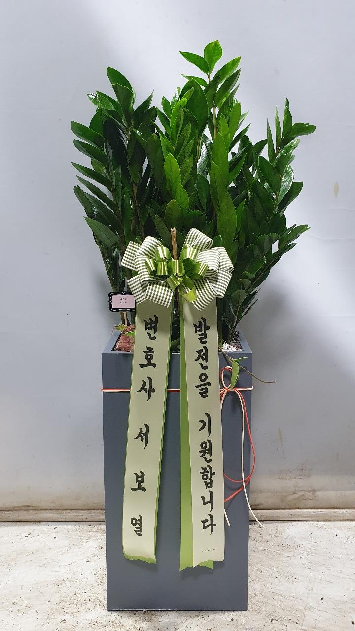 배송사진2