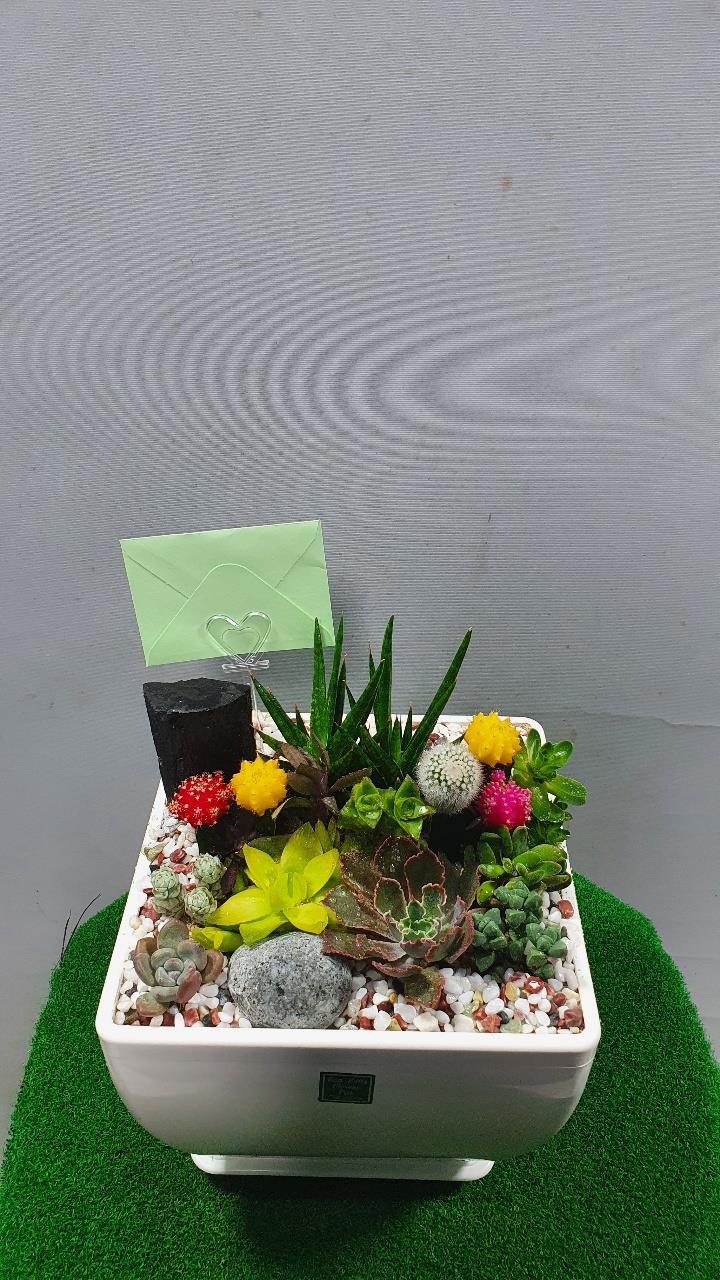 배송사진2