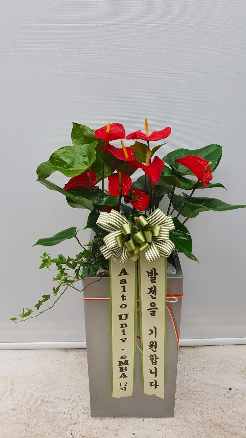 배송사진