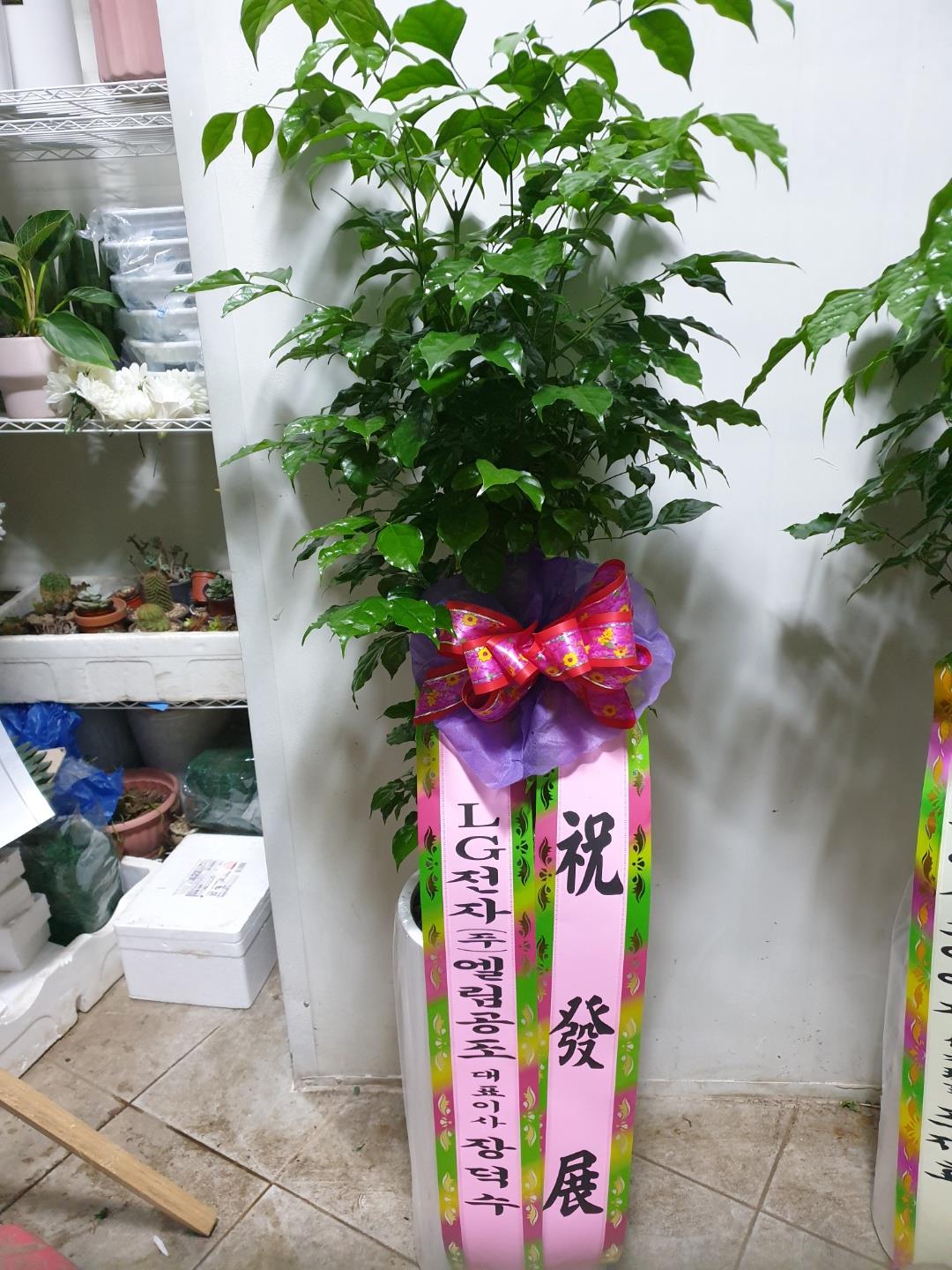 배송사진2