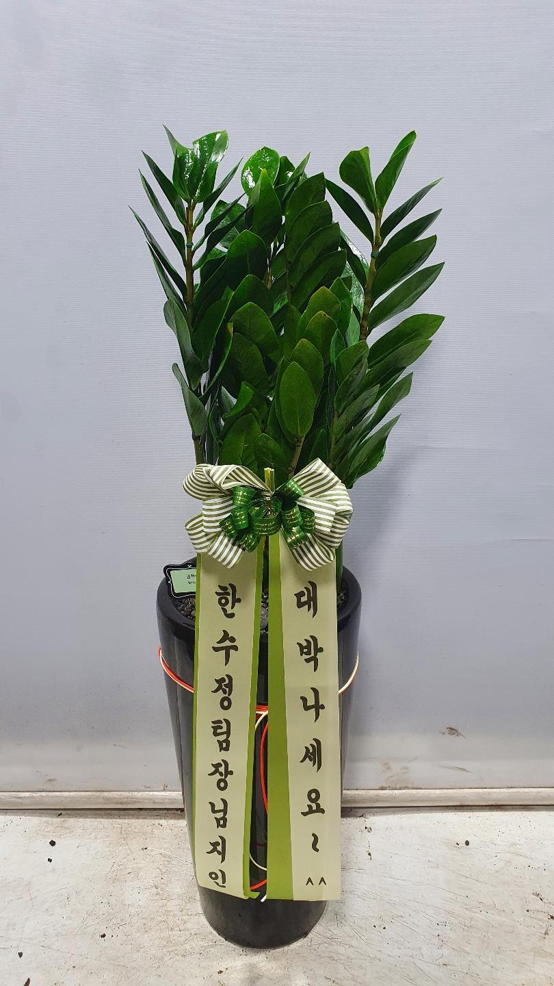 배송사진2