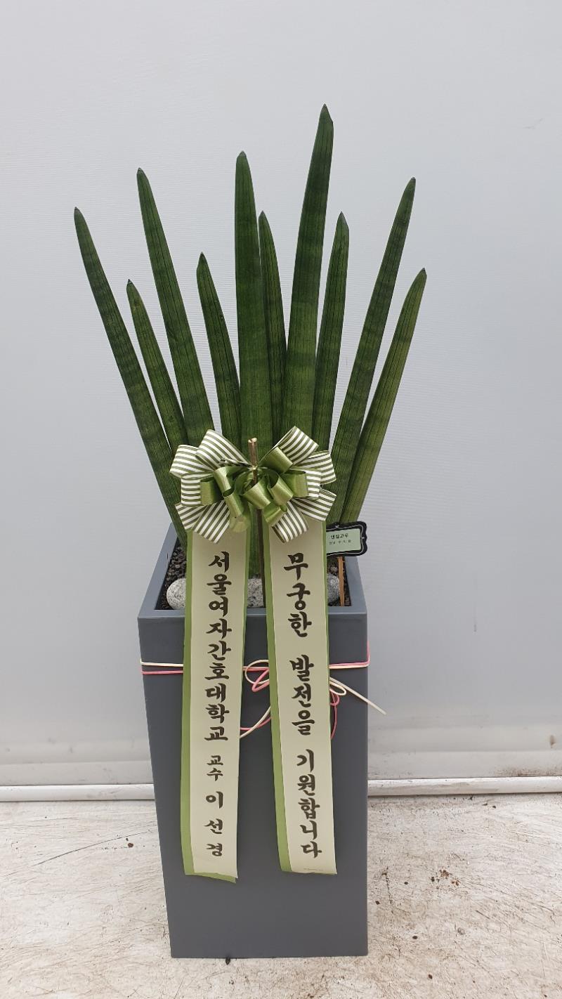 배송사진2