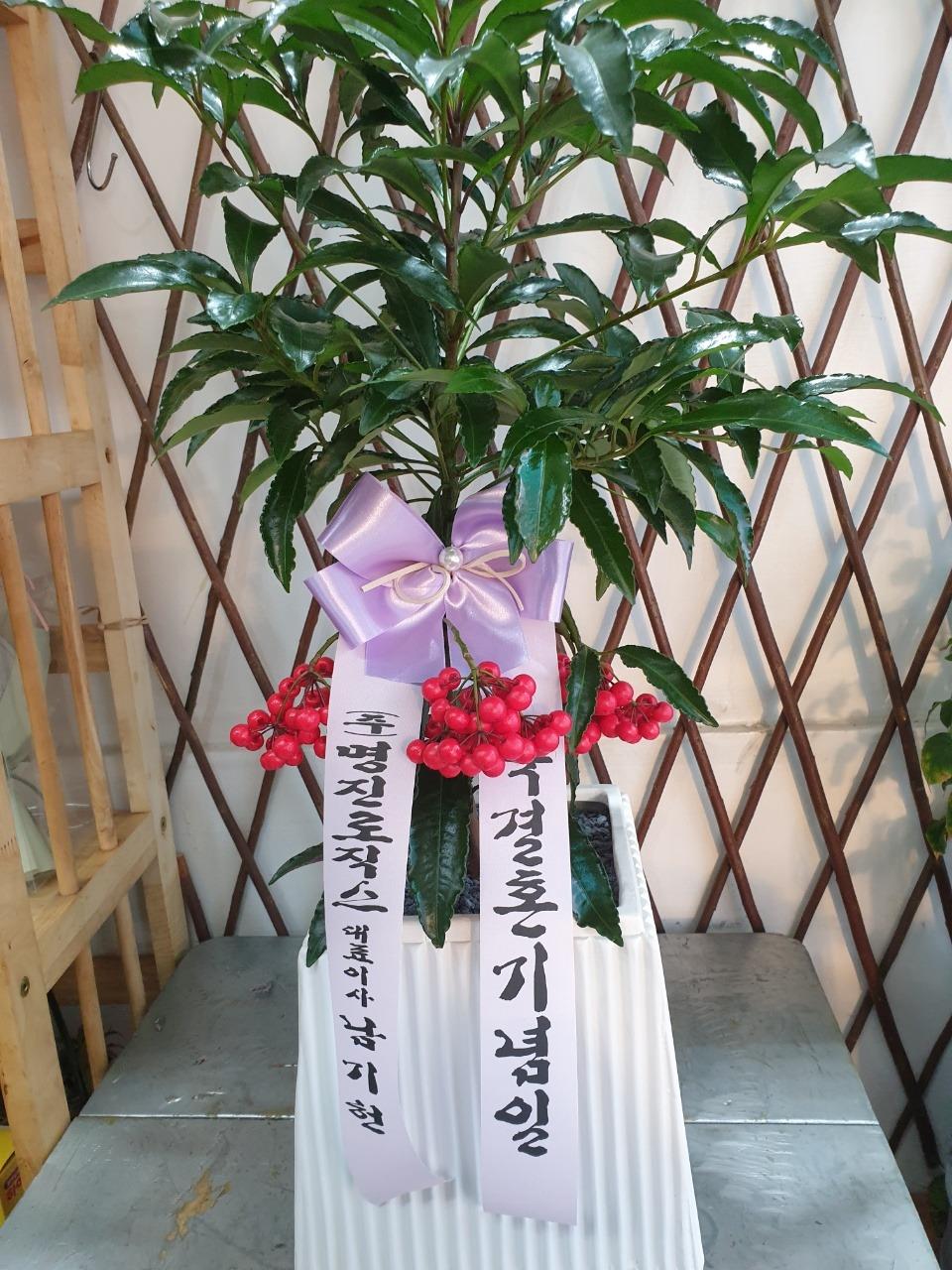 배송사진
