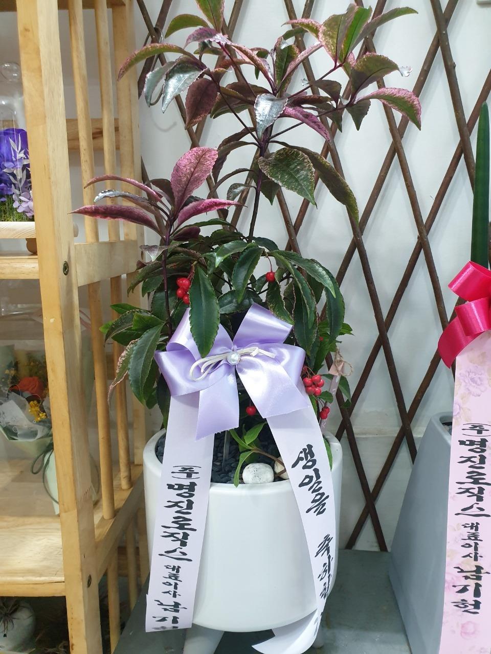 배송사진