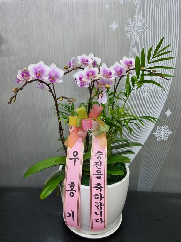 배송사진2