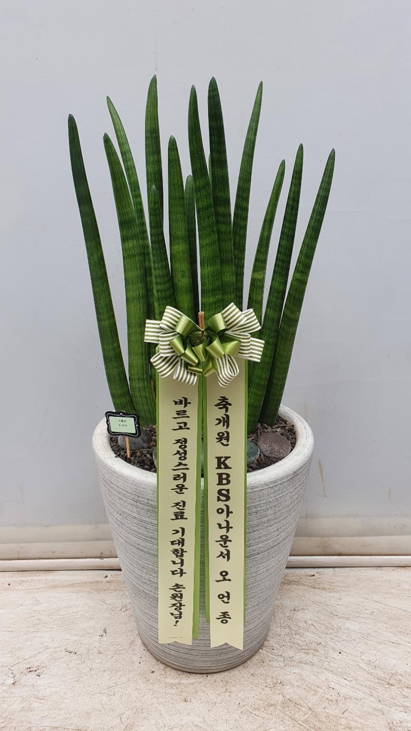 배송사진2