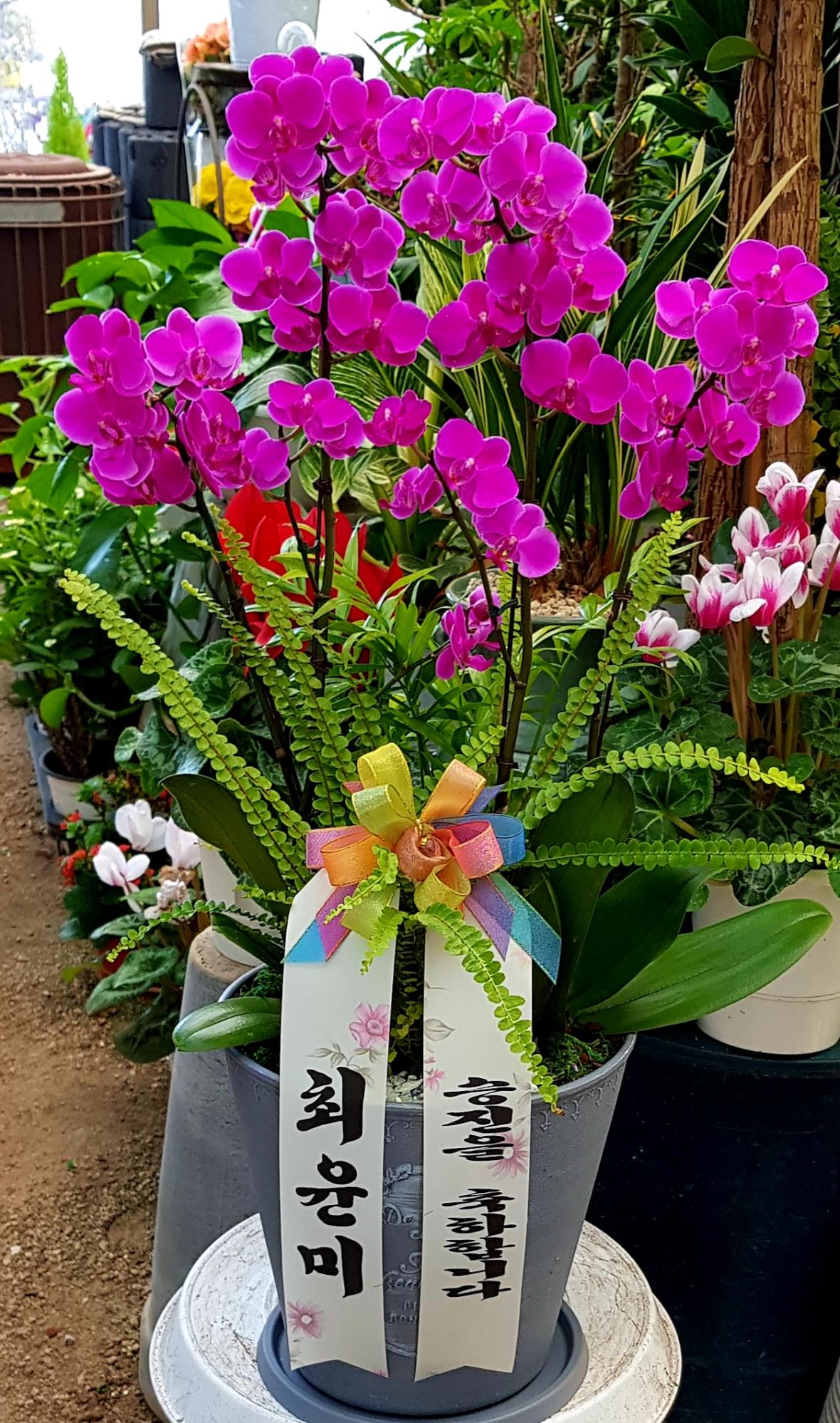 배송사진2