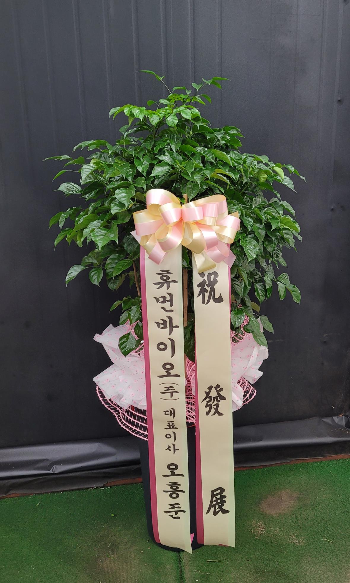 배송사진