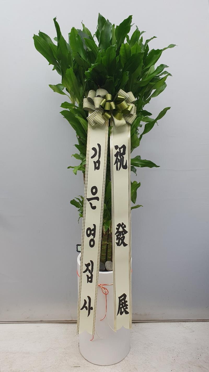 배송사진2
