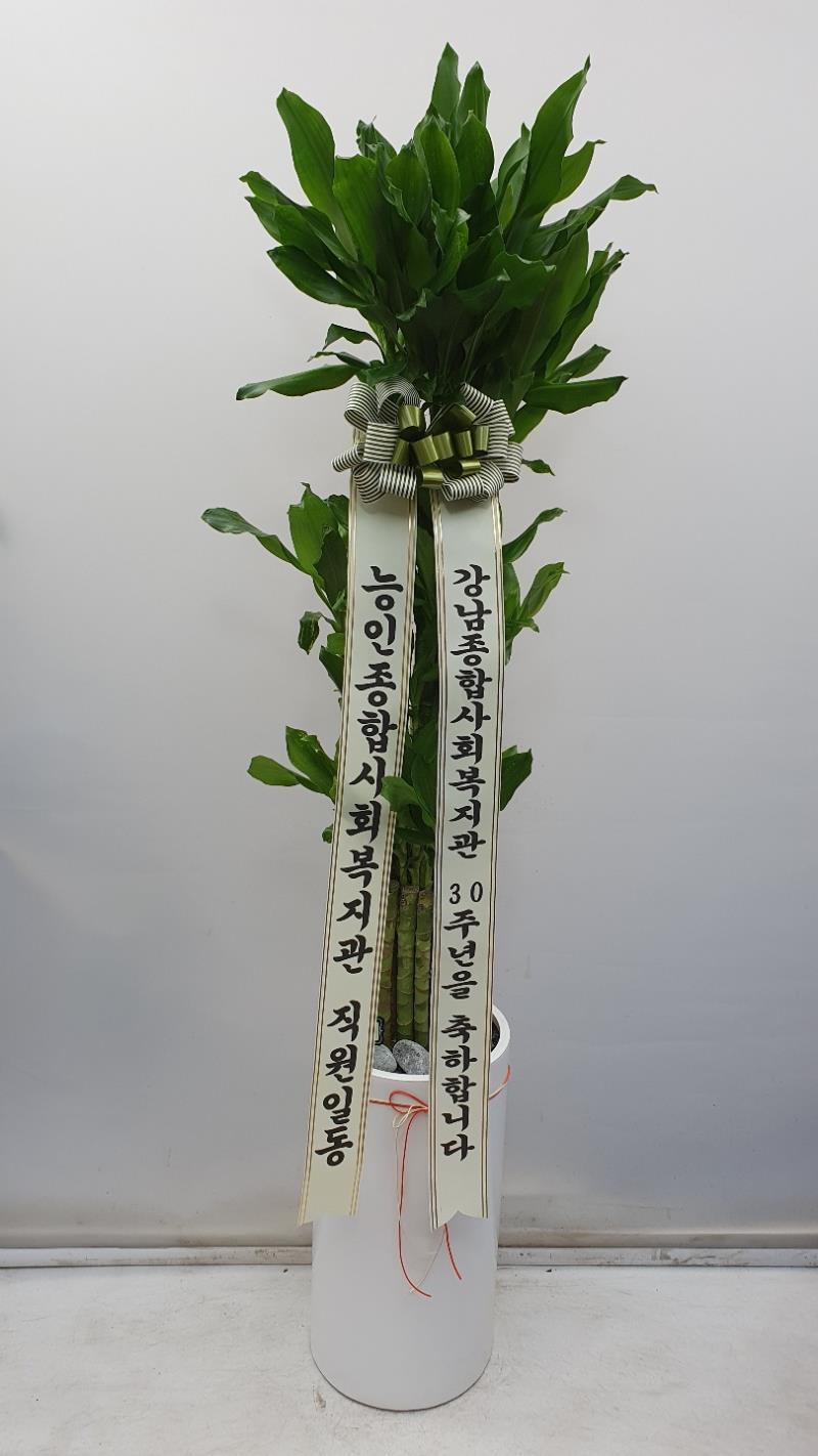 배송사진2