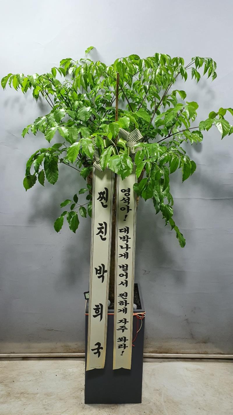 배송사진2