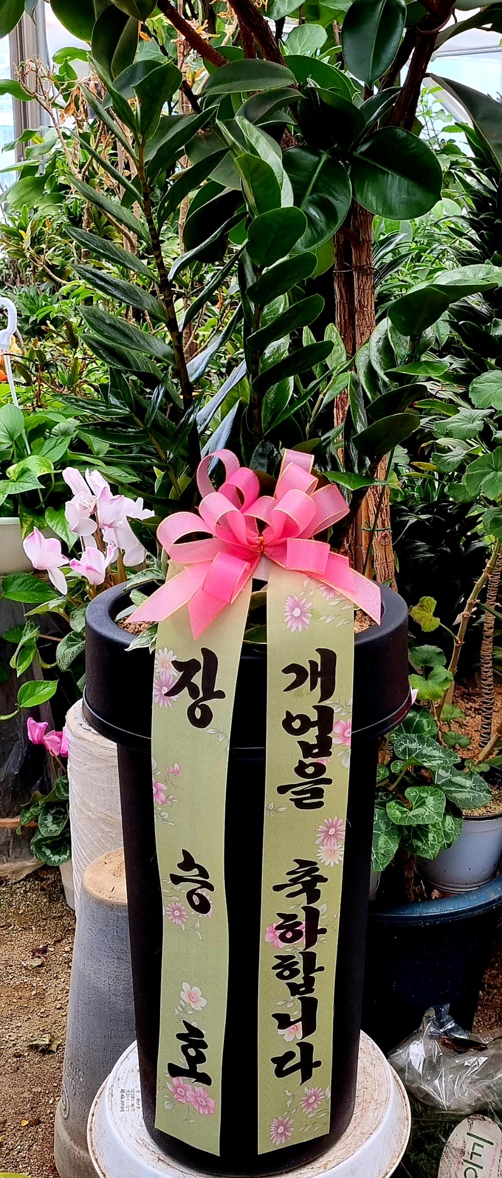 배송사진2