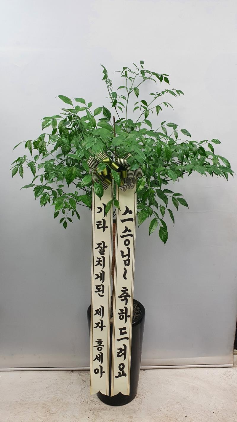 배송사진2