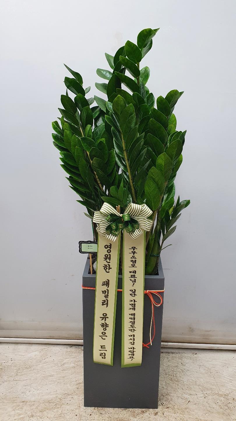 배송사진2