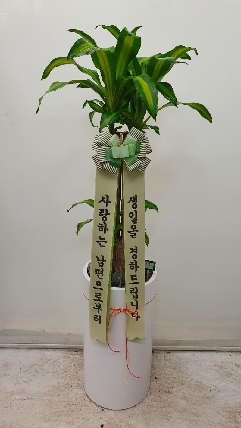 배송사진2
