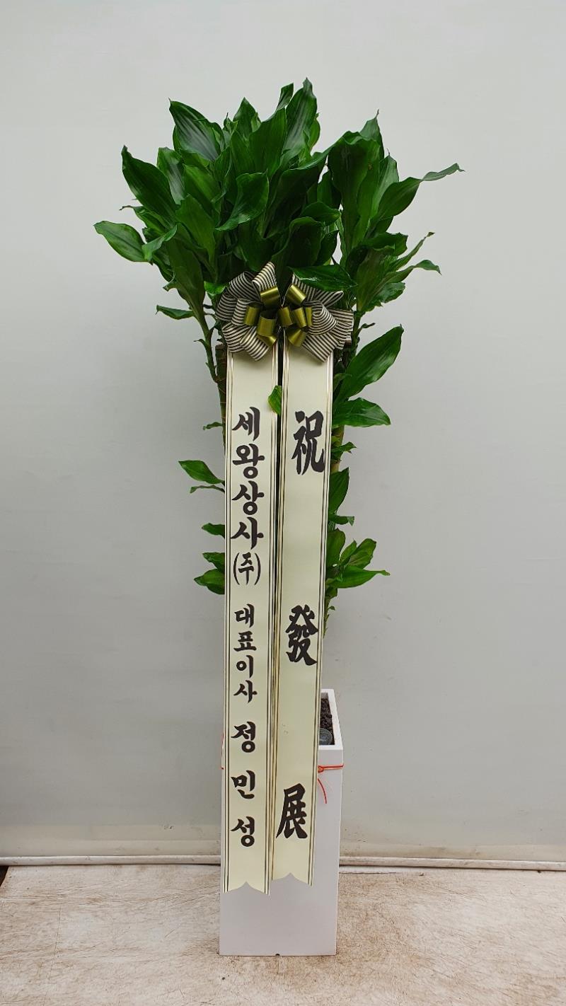 배송사진2