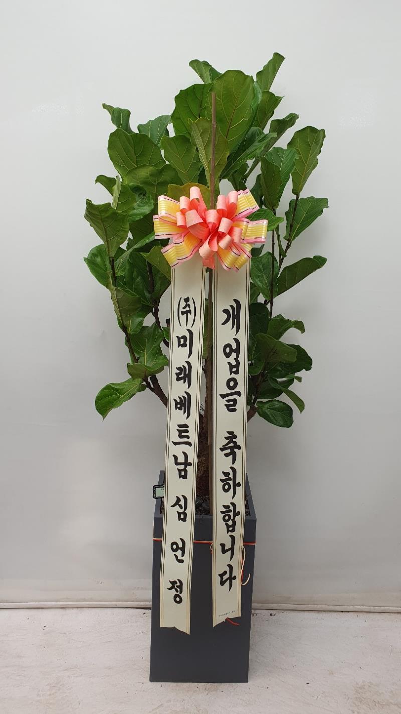 배송사진2