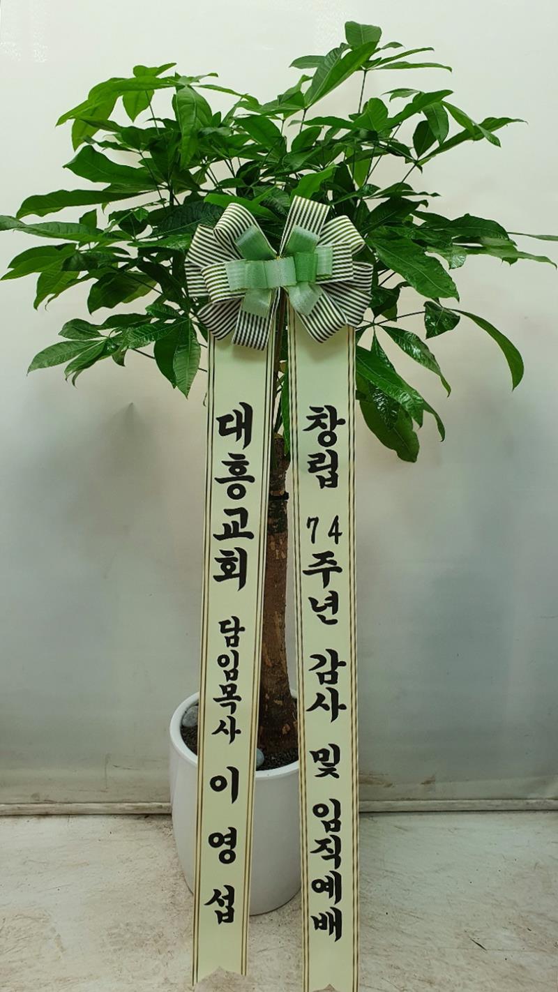 배송사진2