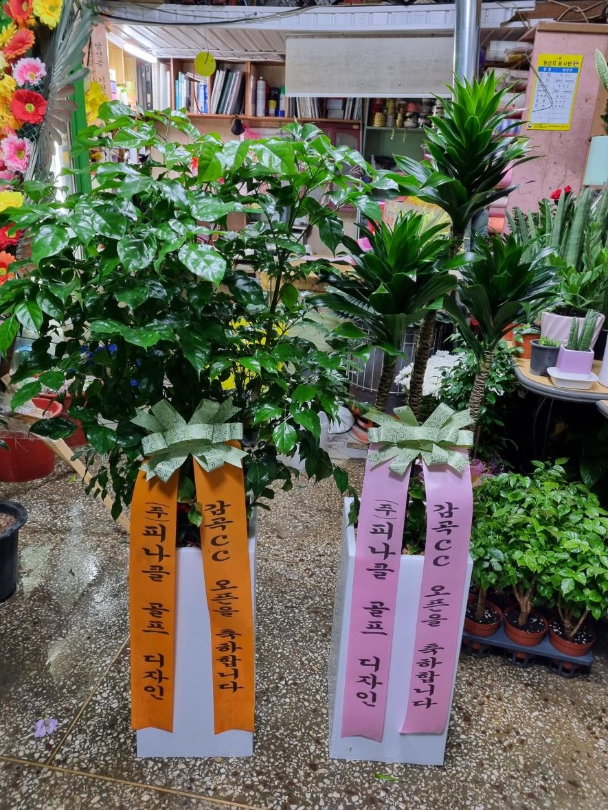 배송사진2