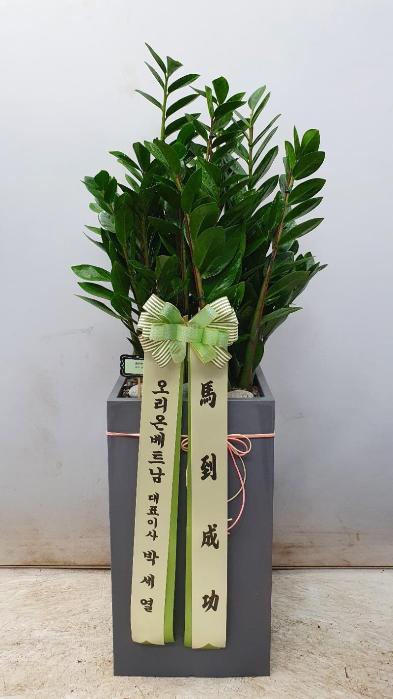 배송사진2