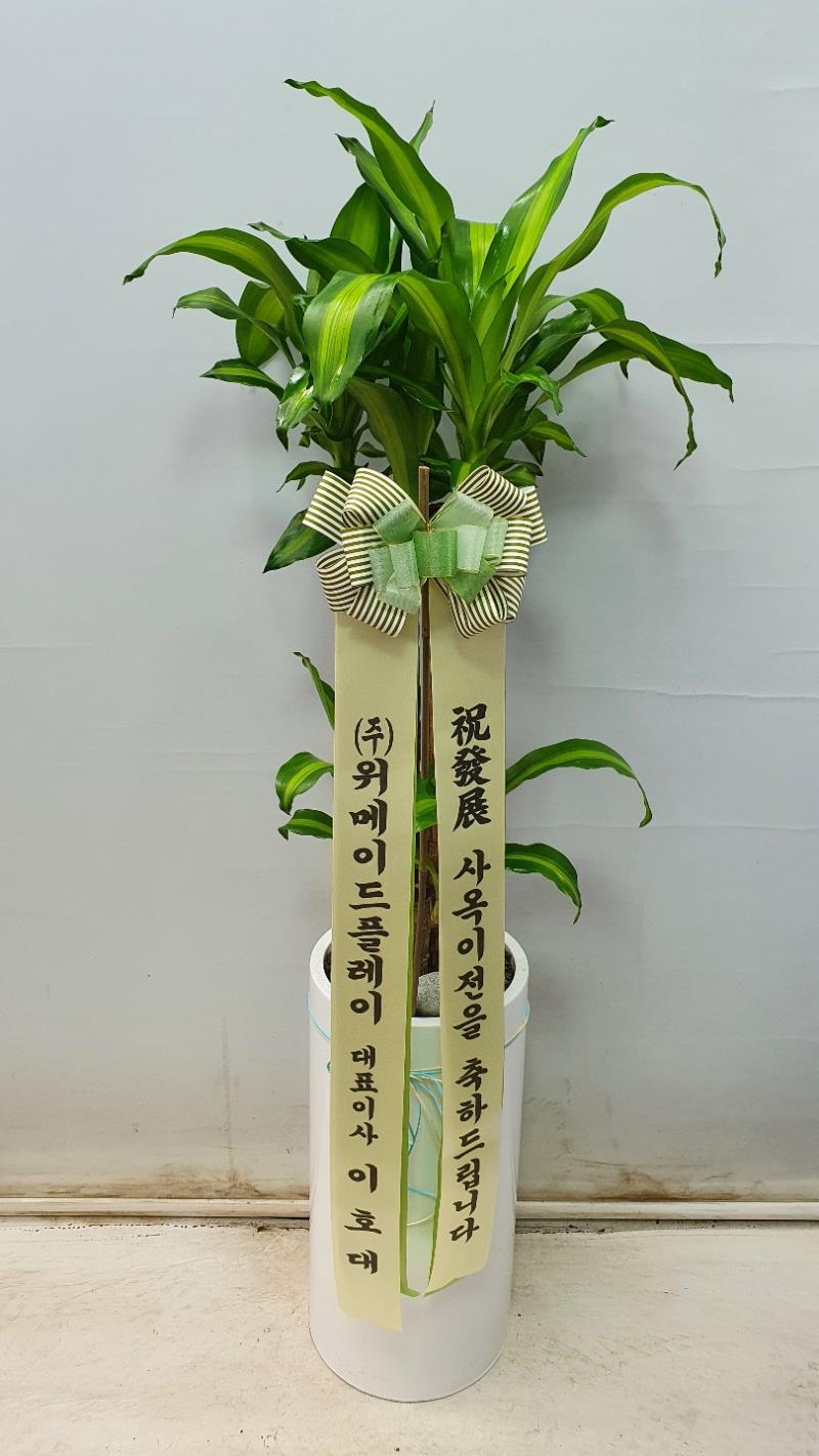 배송사진