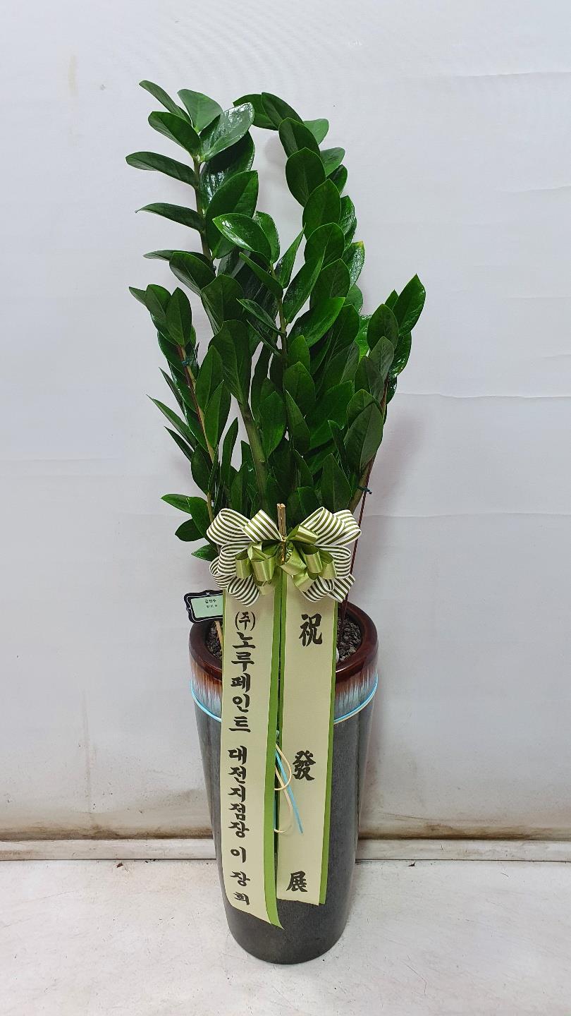 배송사진2