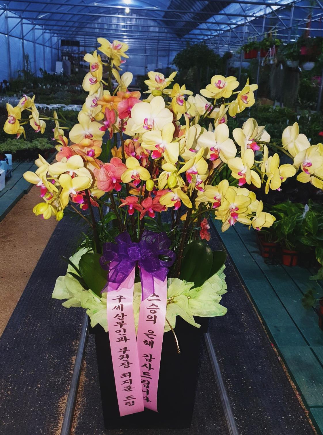 배송사진