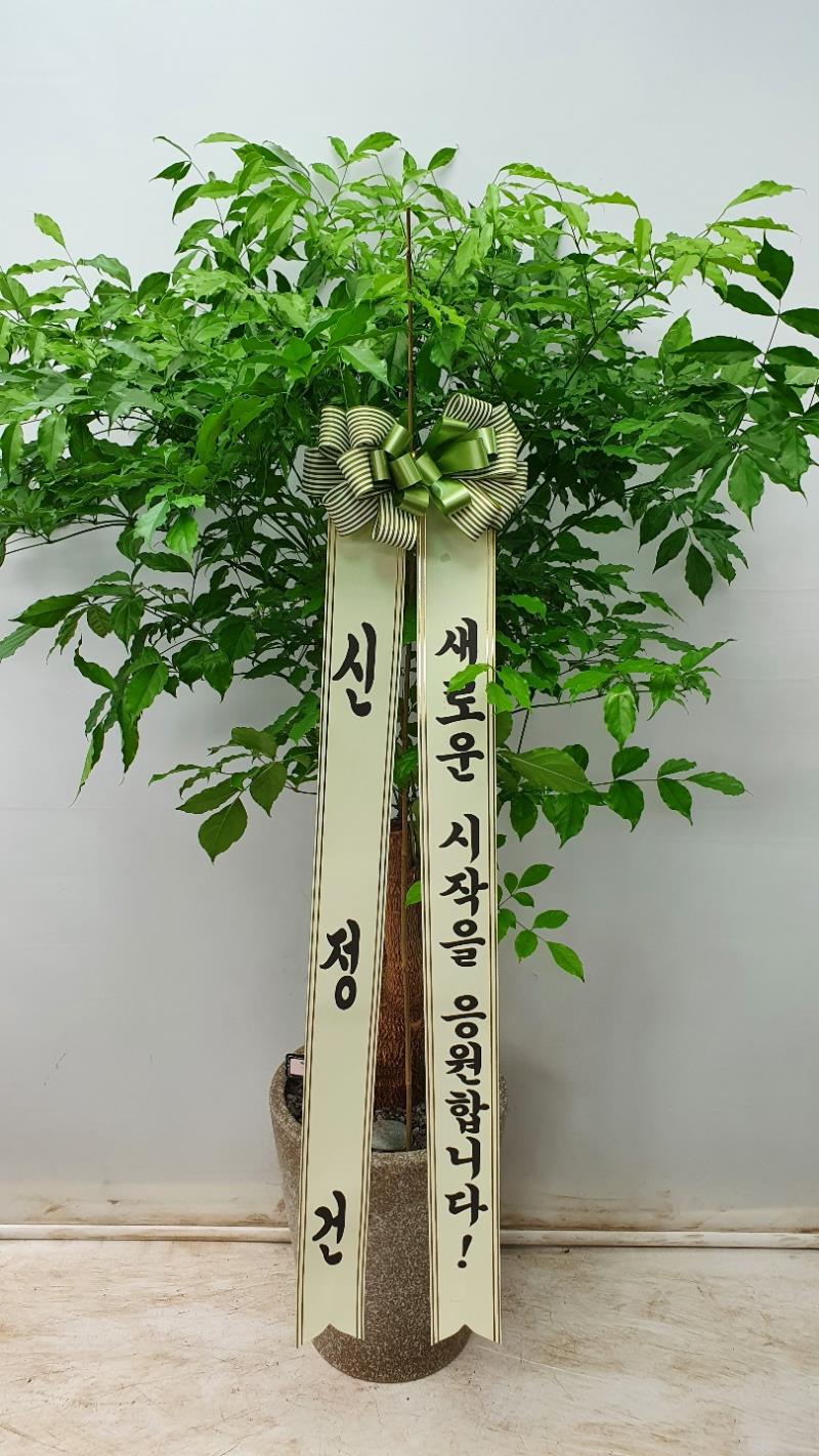 배송사진2
