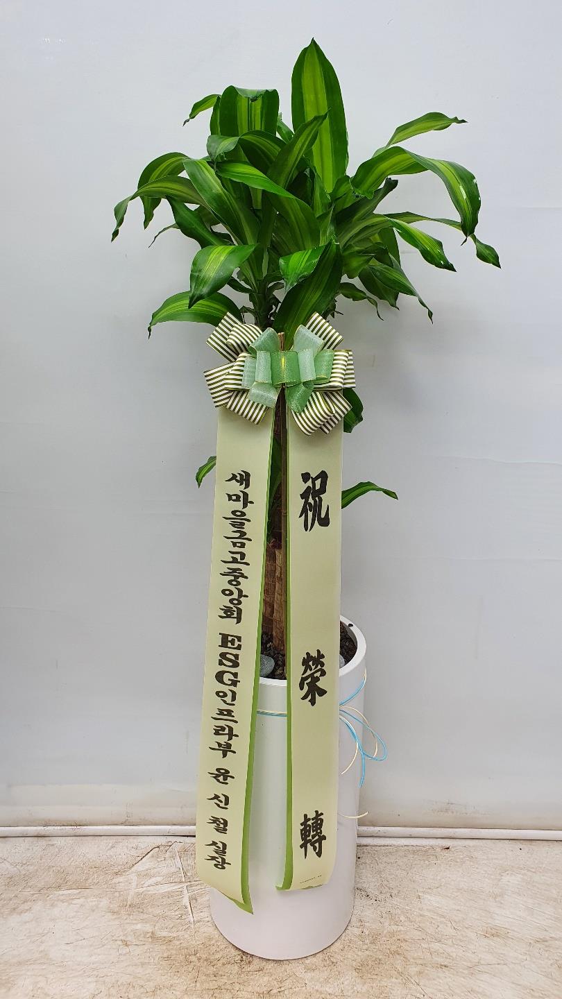배송사진2