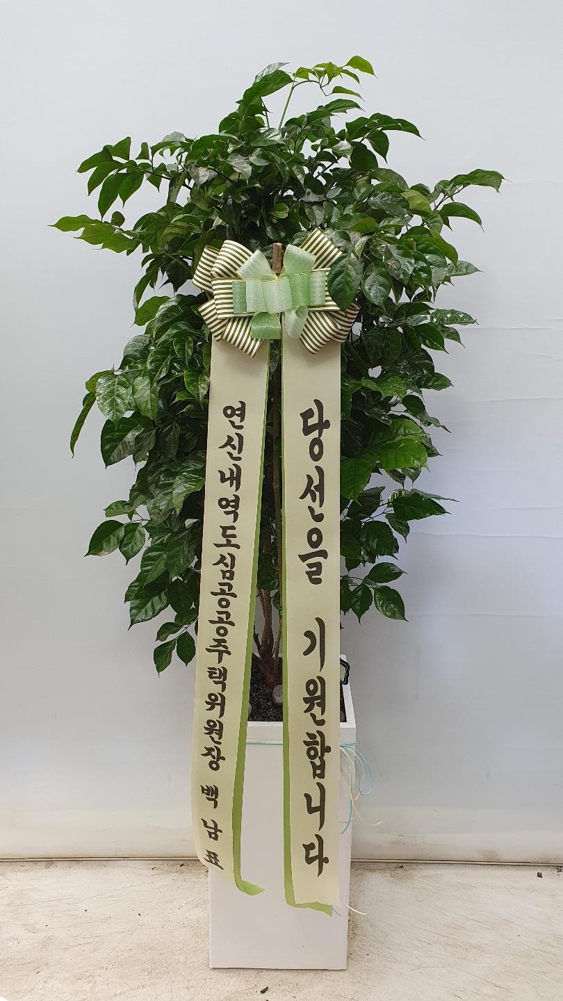 배송사진2