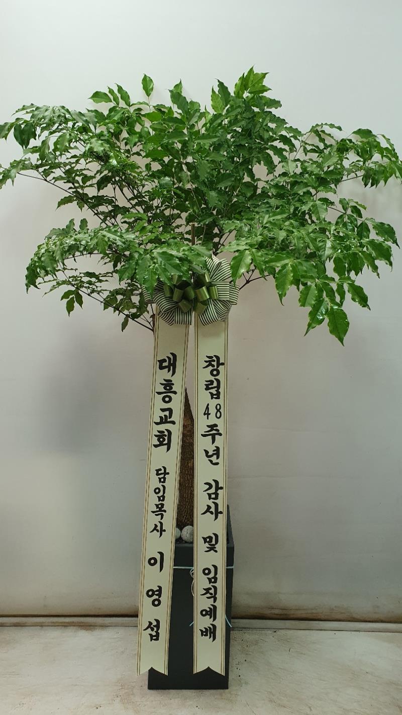 배송사진2