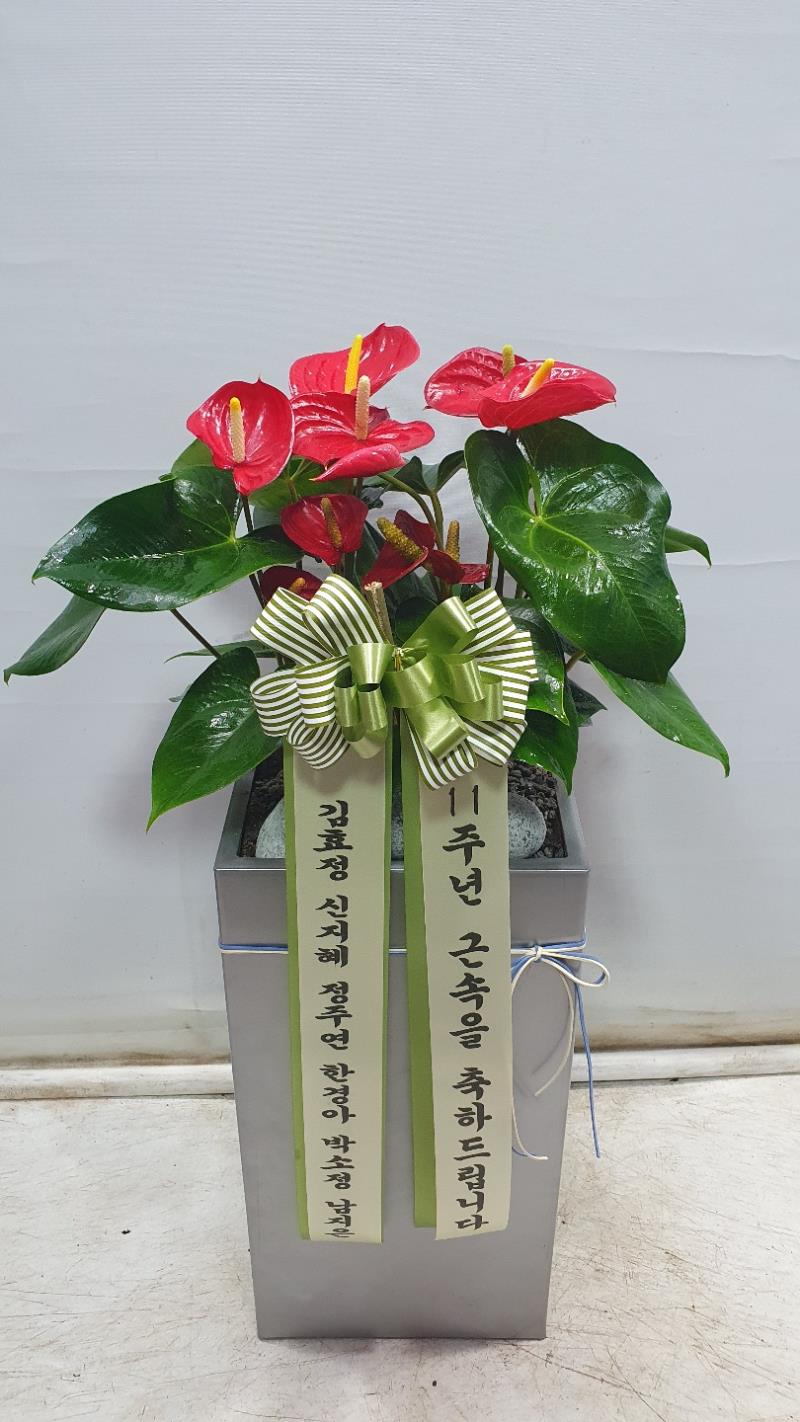 배송사진