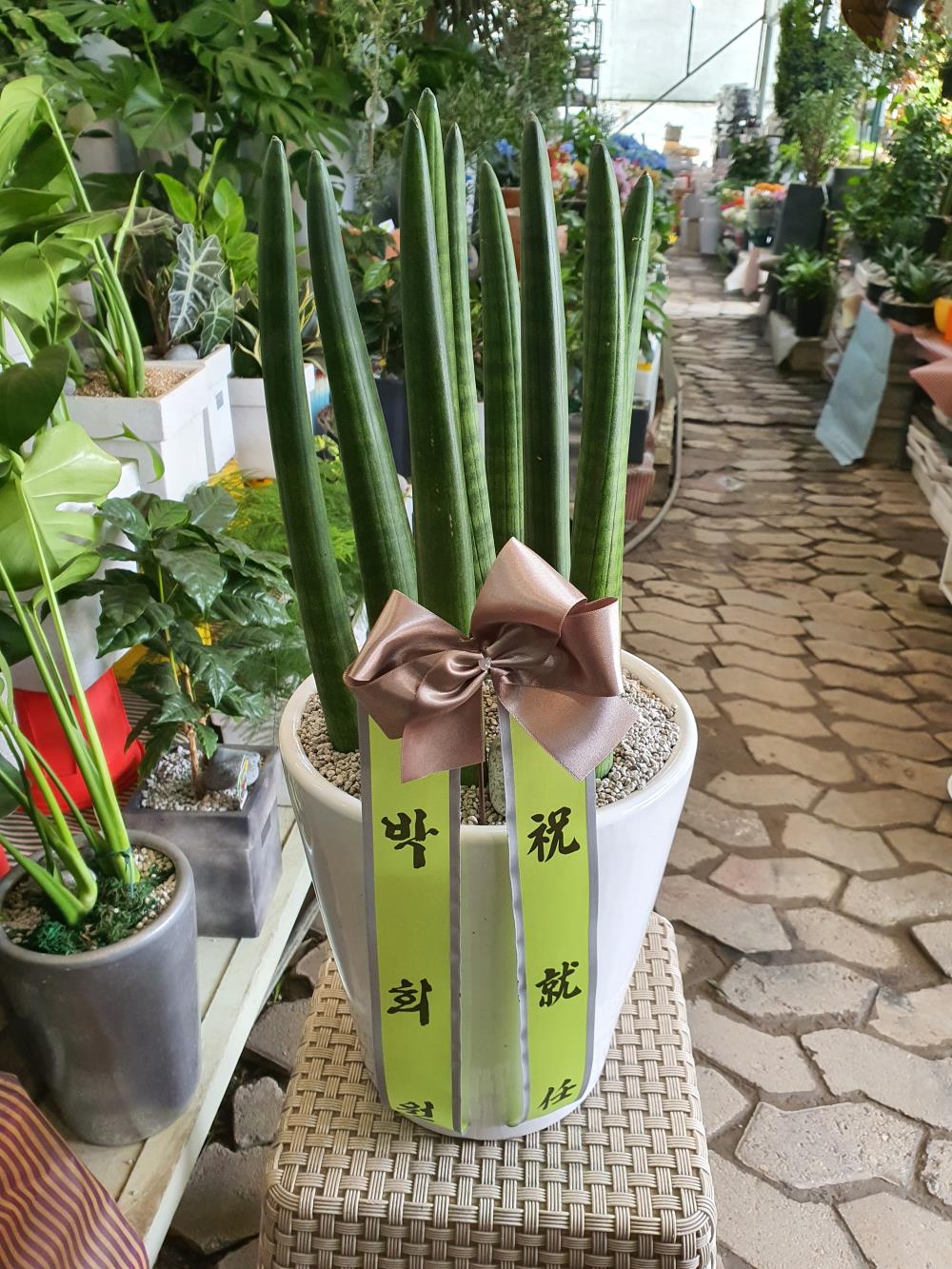 배송사진
