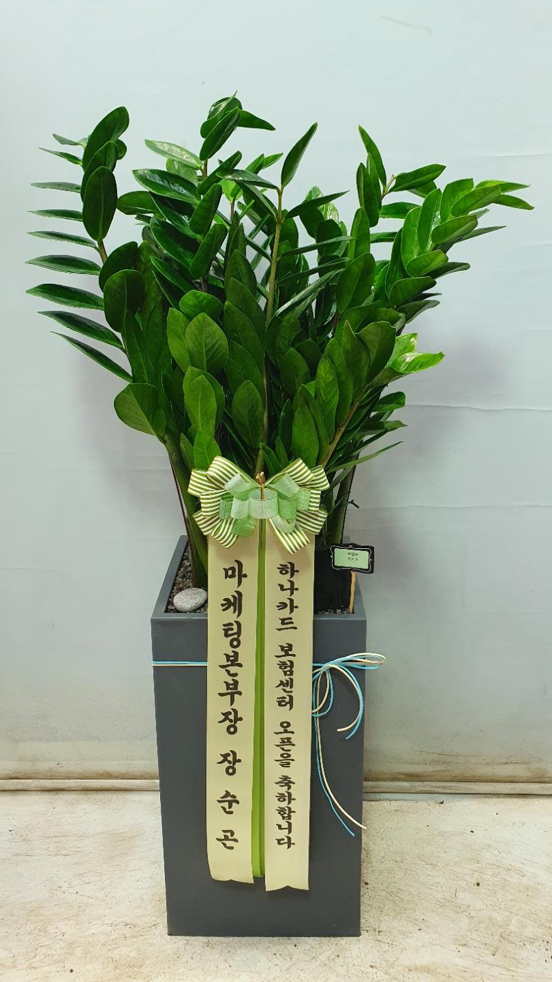 배송사진2