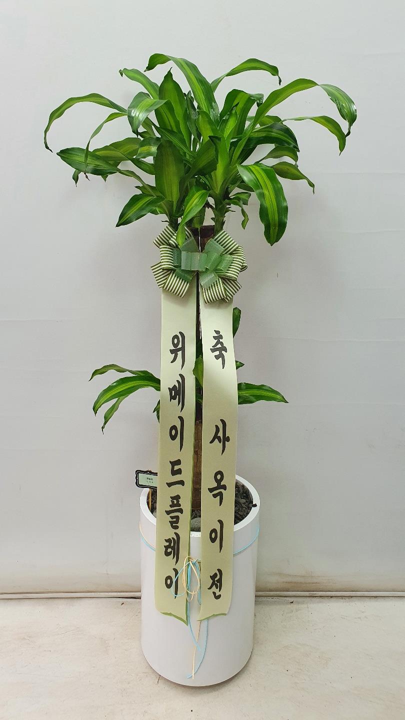 배송사진2