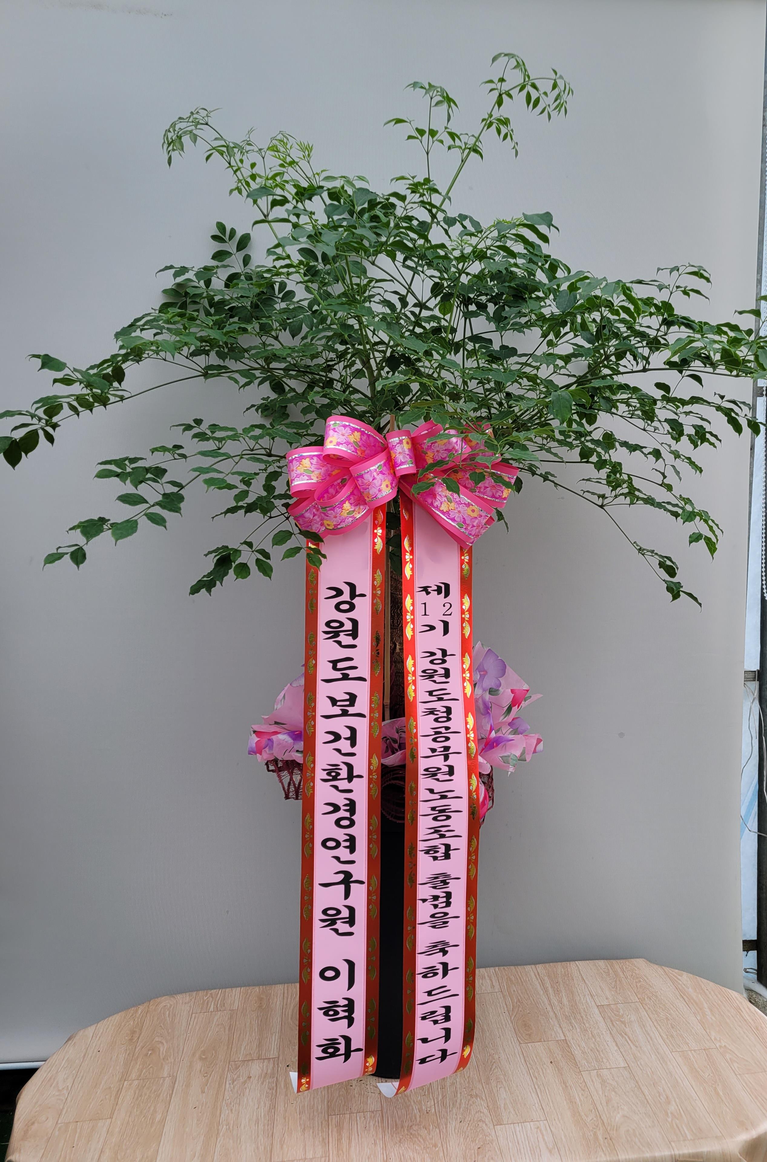 배송사진2